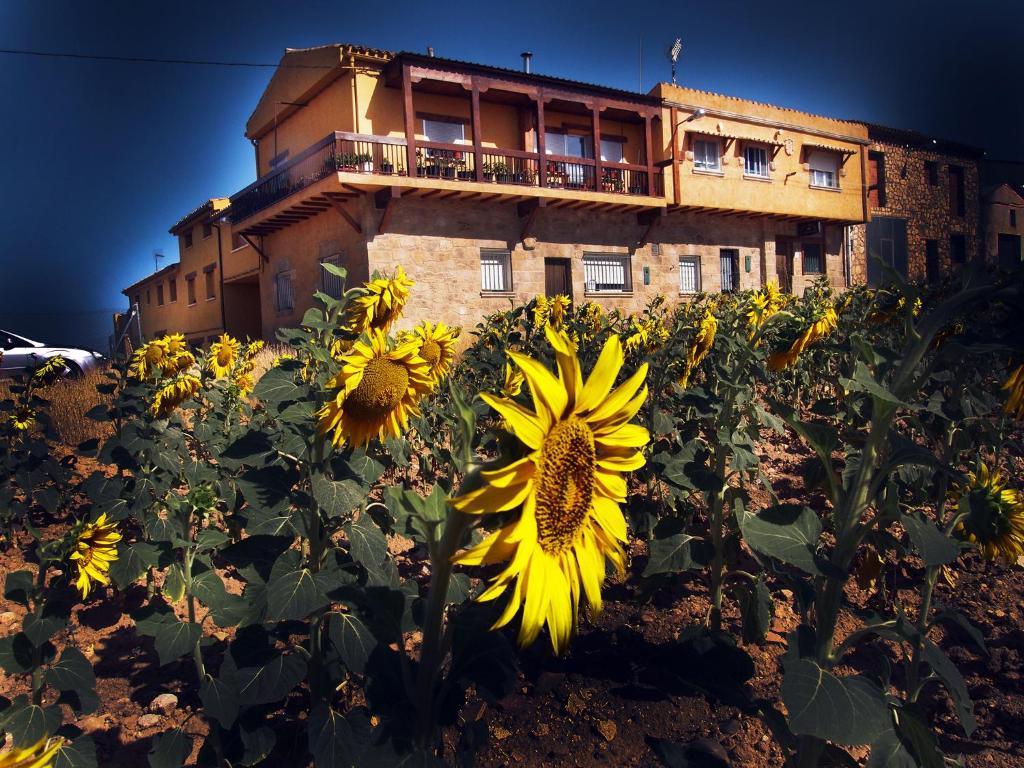 La Antigua Vaqueria ξενώνας Κουένκα Εξωτερικό φωτογραφία